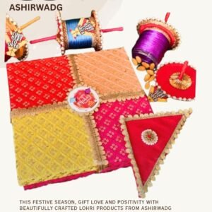 Lohri Gifting Dry Fruit Kite Shape Box